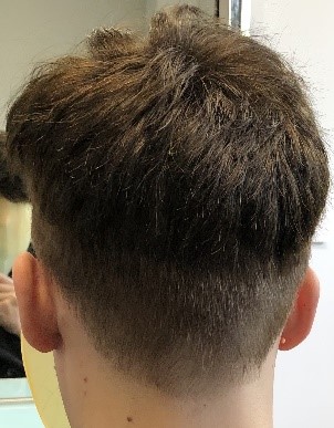 Men's real hair wigs