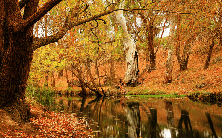 Autumn time