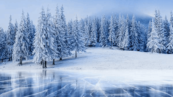 Winter collection