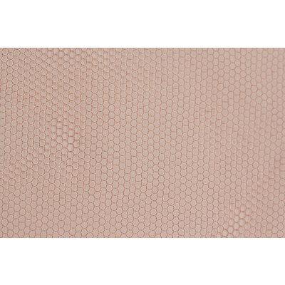Frontlace By Atelier Bassi
