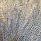 Swatch shade