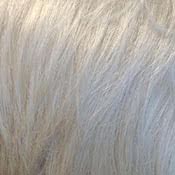 Swatch shade