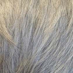 Swatch shade